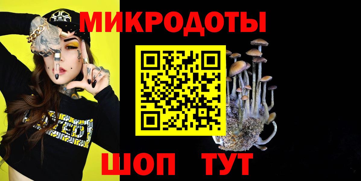 Псилоцибиновые грибы MAGIC MUSHROOMS  Вход с VPN  купить наркотики цена  Ленинск-Кузнецкий 